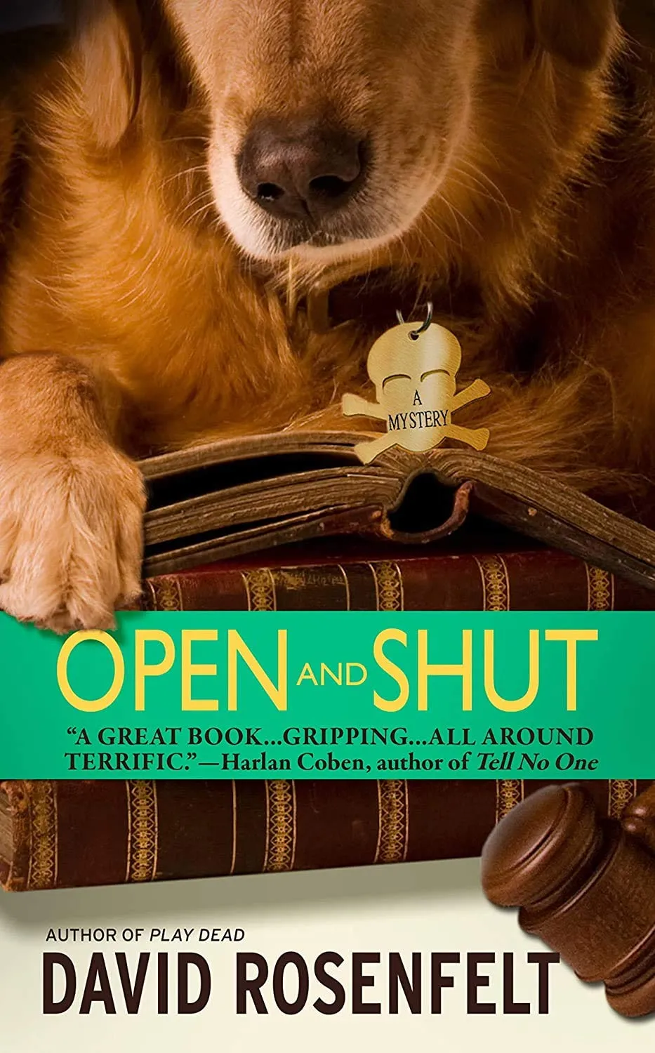 Open and Shut (The Andy Carpenter Series, 1) Mass Market Paperback  May 1, 2003